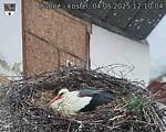 Capi_Dubne_20250504_121004.jpg