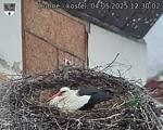 Capi_Dubne_20250504_123002.jpg