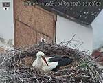 Capi_Dubne_20250504_130503.jpg
