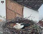 Capi_Dubne_20250504_132004.jpg