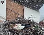 Capi_Dubne_20250504_132502.jpg