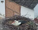 Capi_Dubne_20250504_133502.jpg