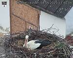 Capi_Dubne_20250504_134004.jpg