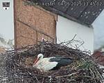 Capi_Dubne_20250504_134502.jpg