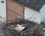 Capi_Dubne_20250504_135004.jpg