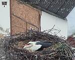 Capi_Dubne_20250504_135502.jpg