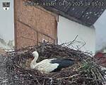 Capi_Dubne_20250504_140502.jpg