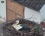 Capi_Dubne_20250504_141504.jpg