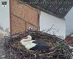 Capi_Dubne_20250504_142502.jpg