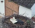 Capi_Dubne_20250504_143004.jpg