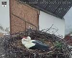 Capi_Dubne_20250504_150004.jpg