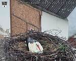 Capi_Dubne_20250504_151504.jpg