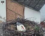 Capi_Dubne_20250504_152004.jpg