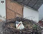 Capi_Dubne_20250504_152502.jpg