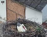 Capi_Dubne_20250504_153004.jpg