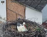 Capi_Dubne_20250504_153504.jpg