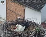 Capi_Dubne_20250504_154002.jpg