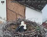 Capi_Dubne_20250504_163504.jpg