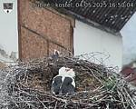 Capi_Dubne_20250504_165004.jpg