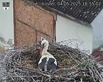 Capi_Dubne_20250504_165502.jpg