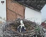 Capi_Dubne_20250504_170004.jpg