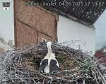 Capi_Dubne_20250504_171002.jpg