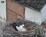 Capi_Dubne_20250504_172502.jpg