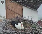 Capi_Dubne_20250504_173004.jpg