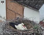 Capi_Dubne_20250504_175502.jpg