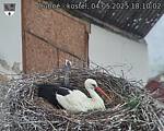 Capi_Dubne_20250504_181002.jpg