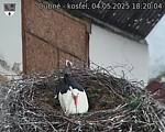 Capi_Dubne_20250504_182004.jpg