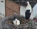 Capi_Dubne_20250504_182502.jpg