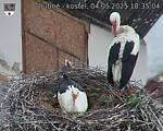 Capi_Dubne_20250504_183504.jpg