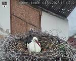 Capi_Dubne_20250504_184002.jpg