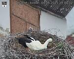 Capi_Dubne_20250504_190002.jpg