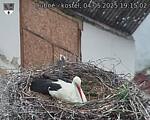Capi_Dubne_20250504_191502.jpg