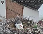 Capi_Dubne_20250504_193004.jpg