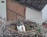 Capi_Dubne_20250504_193504.jpg
