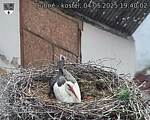 Capi_Dubne_20250504_194002.jpg