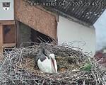 Capi_Dubne_20250504_194502.jpg