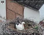 Capi_Dubne_20250504_195004.jpg