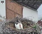 Capi_Dubne_20250504_195502.jpg