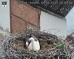 Capi_Dubne_20250504_200002.jpg