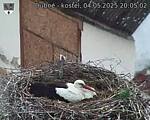 Capi_Dubne_20250504_200502.jpg