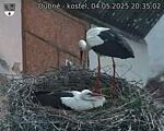 Capi_Dubne_20250504_203502.jpg