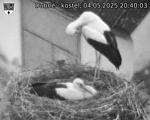 Capi_Dubne_20250504_204003.jpg