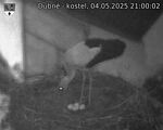 Capi_Dubne_20250504_210002.jpg