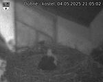 Capi_Dubne_20250504_210502.jpg