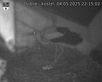 Capi_Dubne_20250504_221502.jpg
