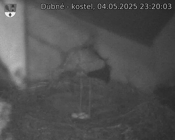 Capi_Dubne_20250504_232003.jpg (1350 x 1080)